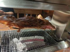 -柿子树炭烤羊腿(金台路店)