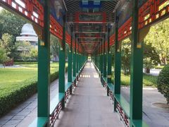 -达活泉公园