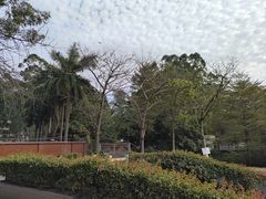 -广东金融学院(校本部)