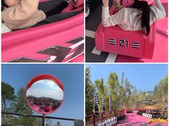 -盈香心动乐园