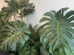 -% Arabica阿拉比卡咖啡烘焙工坊