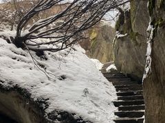 -秦岭终南山世界地质公园翠华山景区