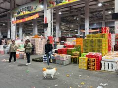 店内环境-西郊国际农产品交易中心
