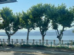 -浔味·山屿湖·正宗淳牌全鱼宴老字号