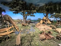 -国家自然博物馆