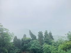 -老君山