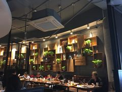 -比格比萨自助(花园路店)