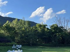 -莫干山郡安里度假酒店-桃尖中餐厅