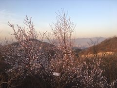 -鬼笑石后山停车场