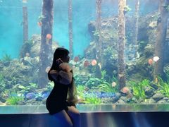 -石家庄海洋公园
