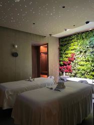 -VELEE·SPA高定疗愈会所