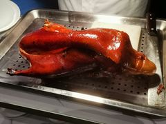 -眉州东坡·熊猫主题餐厅(枫蓝店)