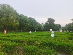 -清远熹乐谷温泉度假酒店
