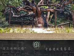 -草庵摩尼教遗址公园