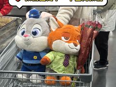 -山姆会员商店(上海浦东店)
