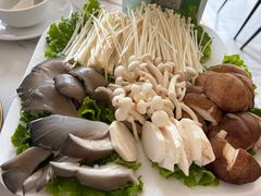 -老毛手抓·盐池滩羊非遗手抓(宁夏总店)