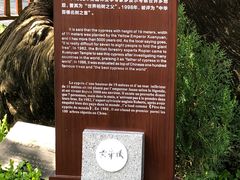 -黄帝陵