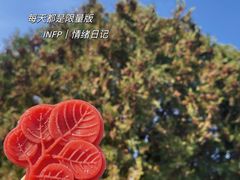 -香山公园