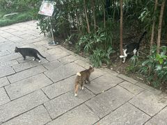 -水门桥面馆(东坡雅居店)
