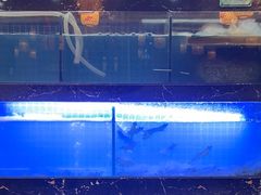 -阿尔法海鲜排档(爱琴海店)