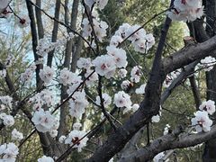 -迎泽公园