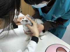 -联合动物医院(光谷诊疗中心)