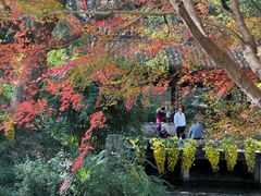 -杭州植物园
