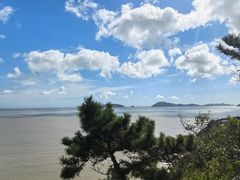 -普陀山雷迪森庄园