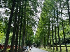 -青城山