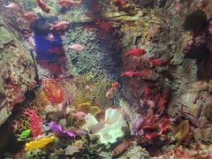 -太平洋海底世界