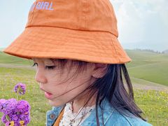 -特克斯八卦城