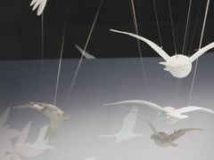 -中国湿地博物馆
