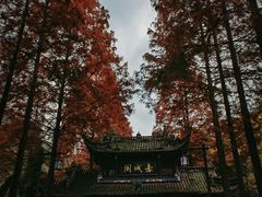 -青城山
