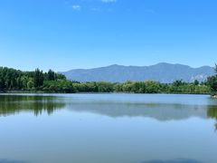 -翠湖国家城市湿地公园
