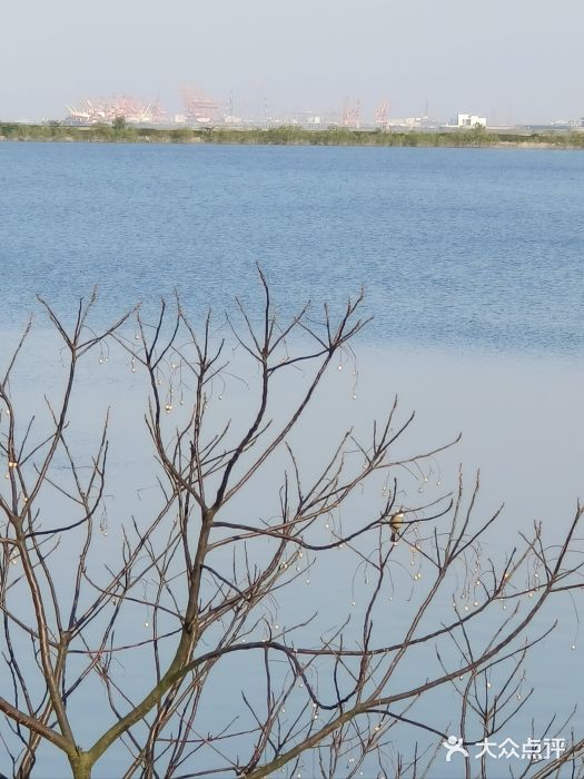 江滩湿地公园图片