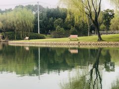 -上海佘山世茂艾美酒店