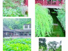 -上海醉白池公园