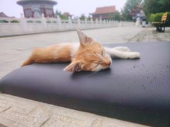 -大悲禅寺