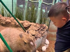 -正佳雨林生态植物园