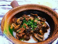 -红星光发煲仔饭(大石街店)