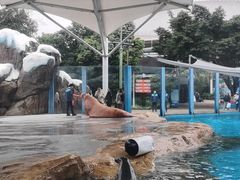 -海合安成都极地海洋公园