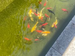 -济南国际园博园