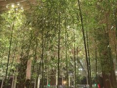 -北京望京凯悦酒店The Lounge大堂酒廊