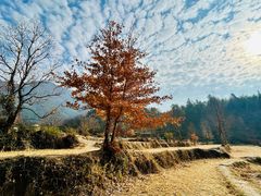 -塔川景区