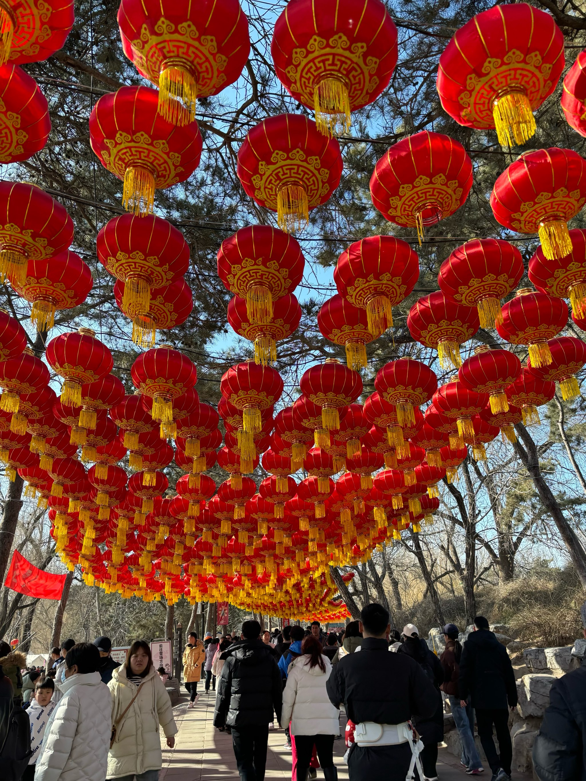 大年初一的圆明园庙会