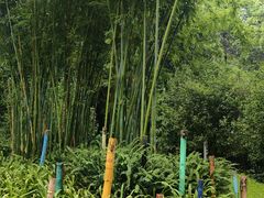 -云溪植物园