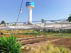 -Ohkajhu Organic Farm Sansai