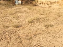 -元谋浪巴铺土林景区