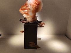 -湖南省地质博物馆