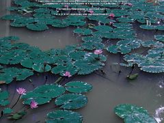 -捞渔河湿地公园